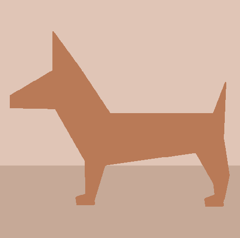 Animal Care Services